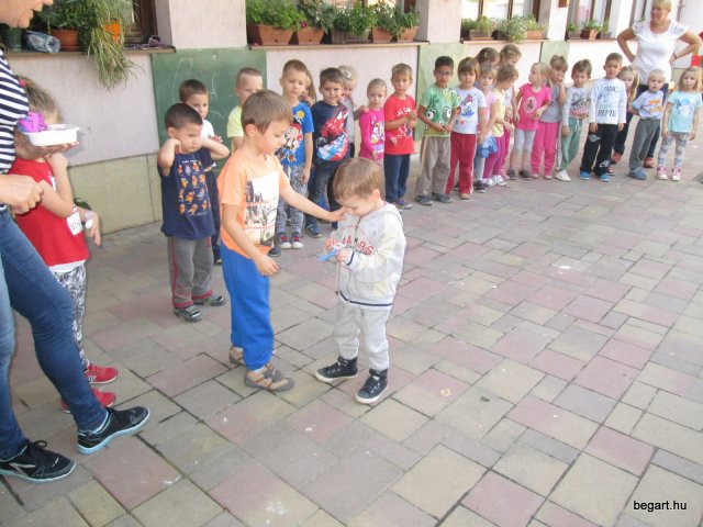 Ovisavató