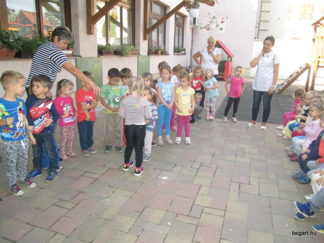 Ovisavató