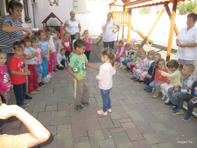 Ovisavató