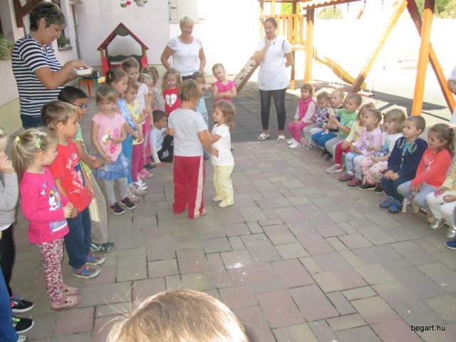 Ovisavató