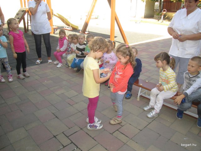 Ovisavató