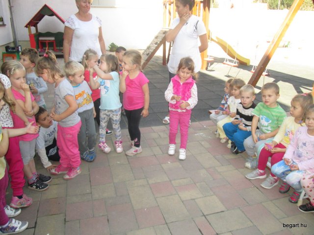 Ovisavató